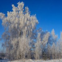 Морозный день в Пермском крае :: Алексей Сметкин