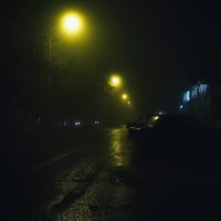 Туманная ночь :: Виталий Павлов