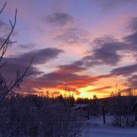 Лучи солнышка в декабре. :: Галина Полина