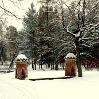 В парке зимой :: Сергей 