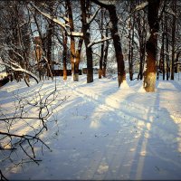 ясным днём в парке. :: Любовь 