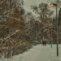 Прогулки по зимнему Парку :: юрий поляков