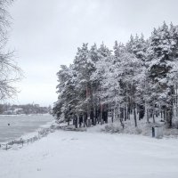 Зима, снег :: Сергей Тарабара
