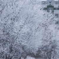 Зима в Южном Бутово :: Игорь Герман