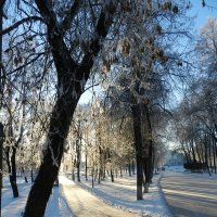 Две зимние дороги :: Анатолий Кувшинов