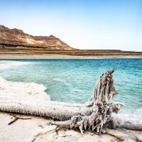 Мертвое море :: Tatyana Belova