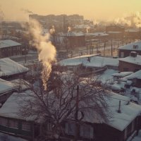 Frost morning :: Ирина Секачева
