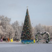 зима во всей красе :: юрий макаров