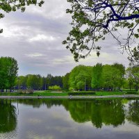 В парке на пруду :: Анатолий Цыганок