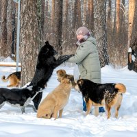 Королева лесных собак и птиц 2 :: Сергей 