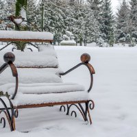 Тихо в парке зимой :: Сергей Тарабара