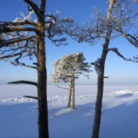 Северодвинск: много зимы и мало лета :: Владимир Шибинский