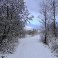 Декабрьский пейзаж :: Маргарита Батырева