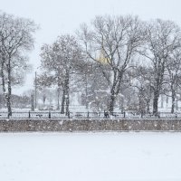 Снег идет и падает :: Николай Танаев