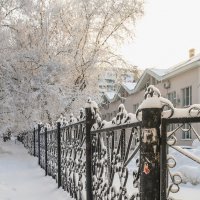 Зимний забор :: Олег Манаенков