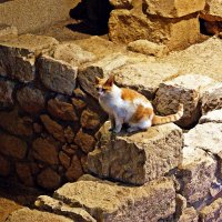 подземные улицы и тоннели Иерусалима :: Александр Корчемный