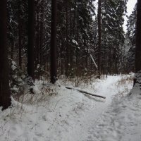 Краски пока не подвезли :: Андрей Лукьянов