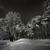Прощальный звон зимы... :: Sergey-Nik-Melnik Fotosfera-Minsk