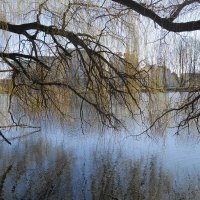 Весенние картинки :: Маргарита Батырева