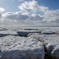 льдины на Белом море :: Елена Кордумова