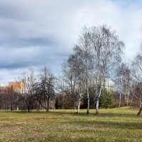 Весна в парке. :: Владимир Безбородов