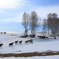 Хакасия :: Лариса 