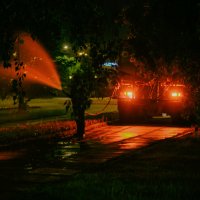 Как поливать  цветы, траву и деревья ночью после дождя (серия) :: alteragen Абанин Г.