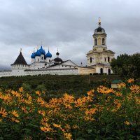 Высоцкий мужской монастырь. :: Владимир Гришин