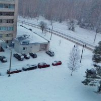 карантин  последний снег :: Владимир 