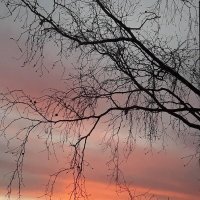 еще фото с утренним небом :: Anna-Sabina Anna-Sabina
