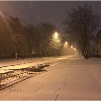 Неожиданный снежок. :: Валерия Комова