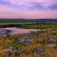 В Приволжских степях весной :: Тамара Бучарская