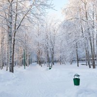 Зима в парке :: Влад Владов