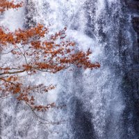 Водопад Насо-но-Ширатаки (Naso no Shirataki Fall) :: slavado 
