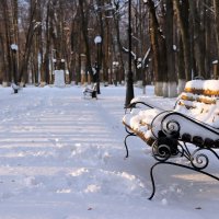 Скамейка в зимнем парке. :: Сергей Пиголкин