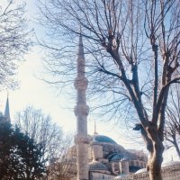 Голубая мечеть, Стамбул :: Надежда Шубина