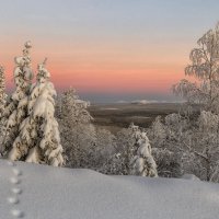 На вершине... :: Владимир Чикота 