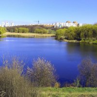 Пейзаж городские ставки Полтава :: Марина 