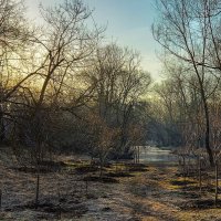 У реки. :: Владимир Безбородов