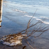 В ледовом плену :: Наталья Кузнецова