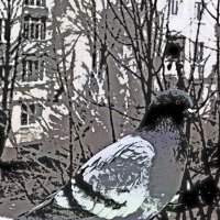 Птичий мир 1 :: Полина Куприянова