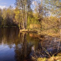 Уютный уголок. Пригревает. :: Владимир Макаров