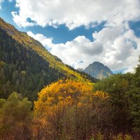 Осень на Кавказе :: Денис Масленников