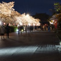 Парк замка Осаки :: Иван Литвинов