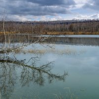 У озера в апреле :: Алексей Мезенцев