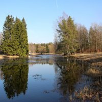 Павловский парк. Март :: Наталья Герасимова