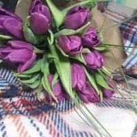 Tulips... :: Наталья Абрамова