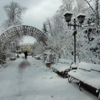 Зимний парк :: Роман Савоцкий