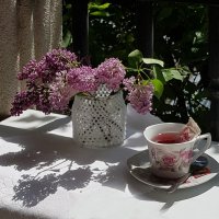 Чашечка чая в изоляции :: Наталья (D.Nat@lia)