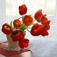 Майские тюльпаны..! :: Рита S